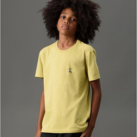 Camiseta Menino Reissue Peito Calvin Klein Jeans - Verde Pistache Camiseta Menino Reissue Peito Calvin Klein Jeans Verde Pistache 6