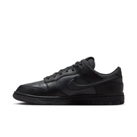 Nike Dunk Low GORE-TEX