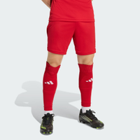 Shorts Entrada26 Homem adidas