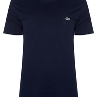 Camiseta Masculina Regular Fit Gola Redonda Em Algodão Pima - Azul