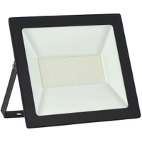 Refletor LED Taschibra TRLED100 100W, Preto 6500K