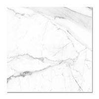 Porcelanato Acetinado Retificado Savane Interno Calacatta, Classe A 72 x 72 cm