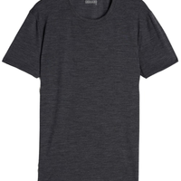 Camiseta Lisa Em Lã Merino Elástica - Cinza