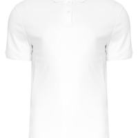 POLO MASCULINA BÁSICA INTERLOCK BORDADO - BRANCO