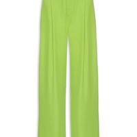 Calça Feminina Pregas - Verde