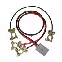 Cabo de Engate Ragtech Para Módulo de Bateria 24v - 20CAB0020
