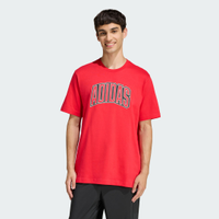 Camiseta Estampada Stadium Collegiate Homem adidas