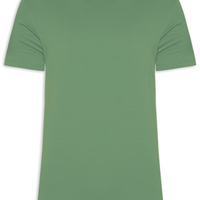 Camiseta Masculina Algodão Egícpcio - Verde