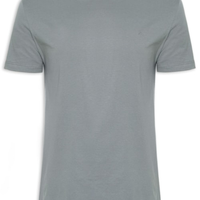 Camiseta Masculina Básica Gola Careca - Cinza