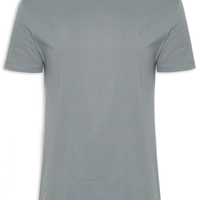 Camiseta Masculina Básica Gola Careca - Cinza
