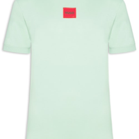 Camiseta Masculina Diragolino - Verde