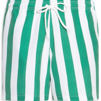 Short Masculino Beachwear Estampa Listra - Verde