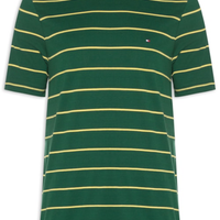 Camiseta Masculina Regular Fit Stripe Em - Verde