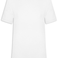 Camiseta Masculina Gola Redonda Em Tricot - Branco