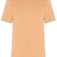 Camiseta Masculina Básica Em Algodão Egípcio Stretch - Bege