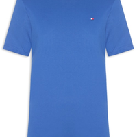 Camiseta Masculina Essential Regular Fit C-Nk Em Algodão - Azul