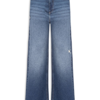 Calça Feminina Pantalona Poti - Azul