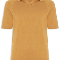 Polo Masculina em Tricô Regular Fit - Bege