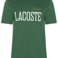 Camiseta Masculina Regular Fit Estampada - Verde