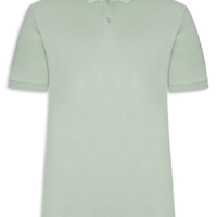 Polo Masculina Básica em Algodão Egípcio - Verde