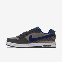 Paul Rodriguez Air Zoom Low