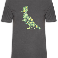 Camiseta Masculina Pica Pau Citric Summer - Cinza