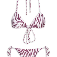 Conjunto Biquíni Cortininha Zebra - Animal Print