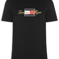 Camiseta Masculina Regular Fit Icon Gold - Preto