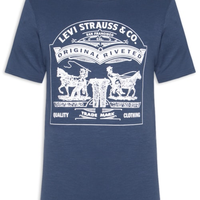 Camiseta Masculina Estampada Two Horse - Azul