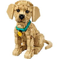 LEGO® Icons - Filhote de Golden Retriever