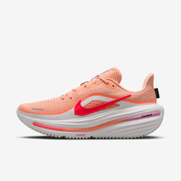 Tênis Nike Winflo 12 Feminino
