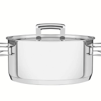 Caçarola Rasa Tramontina Brava 24cm Em Aço Inox