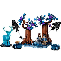 LEGO® Harry Potter - Floresta Proibida: Expecto Patronum