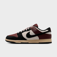 Tênis Nike Dunk Low Retro Dimension Masculino