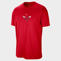 Camiseta Chicago Bulls Nike Masculina