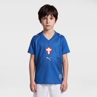 Camisa do Palmeiras III 2026/27 Puma Torcedor Infantil