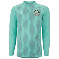 Blusão Pré-Jogo do Palmeiras 25 Puma Masculino