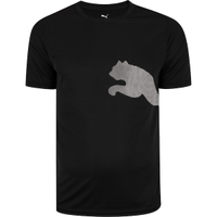 Camiseta Masculina Puma Manga Curta Tad Big Logo