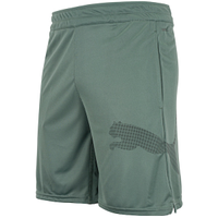 Bermuda Masculina Puma Tad Big Logo Knit