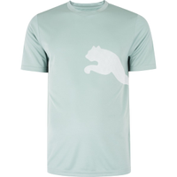 Camiseta Masculina Puma Manga Curta Tad Big Logo