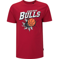 Camiseta do Chicago Bulls Masculina NBA Air Ball