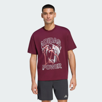 Camiseta Estampada DE Treino Climacool Primelift Homem adidas