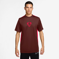 Camiseta Dri-FIT Nike Academy+ Masculina