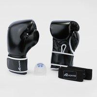 Kit Boxe E Muay Thay Adams