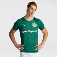Camisa do Palmeiras I 2026 Puma Torcedor Masculina